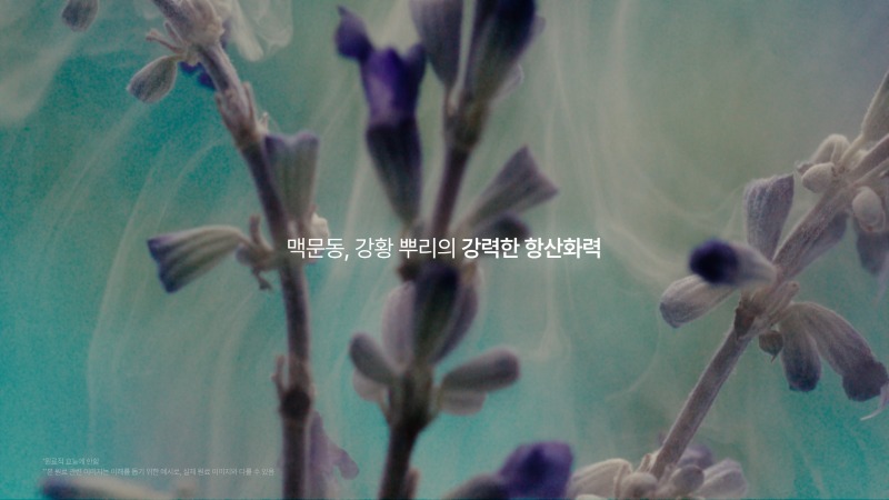 러버랩_메인편.00_00_12_04.스틸 050.jpg